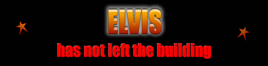 Elvis has not left the building